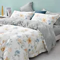 Suzanne Sobelle By Charles Millen Suzanne Sobelle Bloomsbury Lucia Deluxe Bed Set, Multicolour, Super Single