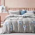 Suzanne Sobelle By Charles Millen Suzanne Sobelle Bloomsbury Miya Deluxe Bed Set, Multicolour, Queen