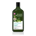 Avalon Organics Tea Tree Scalp Treatment Shampoo, 946ml