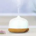 Flaming Queen Ultrasonic Cool Mist Humidifier (200ml)