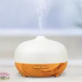 Flaming Queen Ultrasonic Glass Cool Mist Humidifier (300ml)