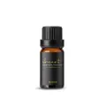 Shcent 10ml Hotel Essential Oil | Mgrand