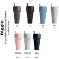 Stojo Collapsible Cup Biggie, Carnation