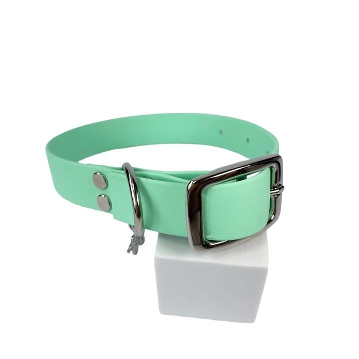 Leash Pet Collar Biothane - Mint, L
