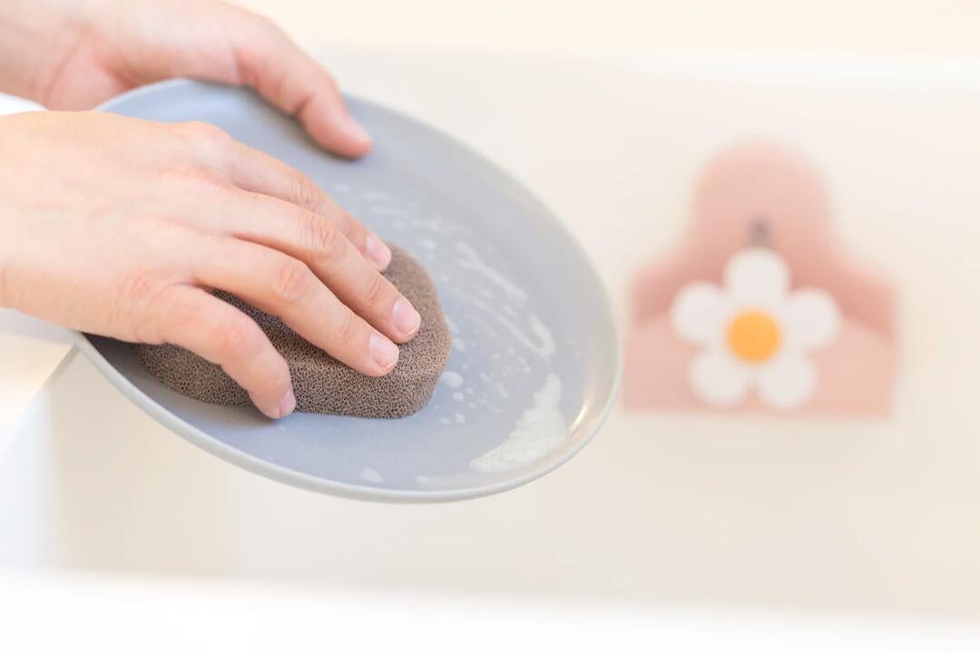 Vigar Florganic Suction Holder + Sponge