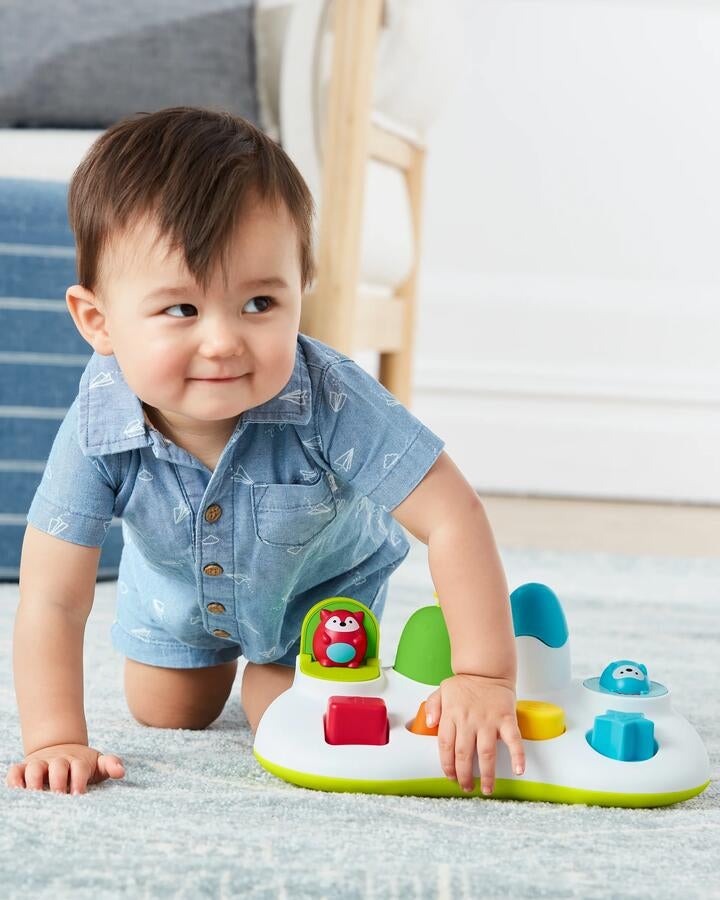 Skip Hop Explore & More Pop-up Toy