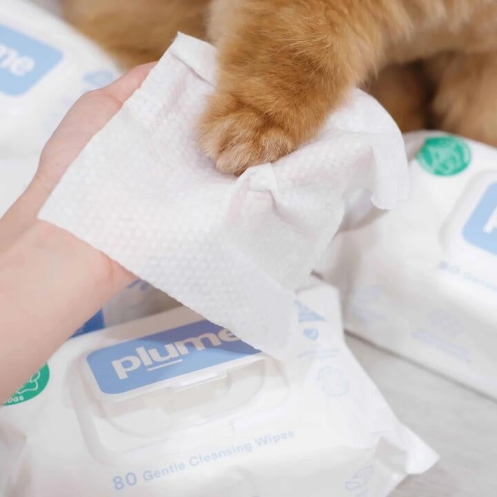 Plume Wet Wipes
