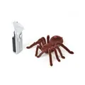 Mini Spider 787 Animal Toys for Children Birthday Gift