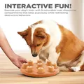 Outward Hound Dog Smart Orange Composite Interactive Treat Puzzle Dog Toy
