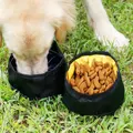 Portable Double Pet Dog Feeding Bowl Cat Food Bowl Puppy Foldable Waterproof Travel Bowl Dogs Lunch Box Drinking Water Bottle