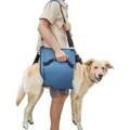Backpack Pet Legs Support & Rehabilitation Dog Lift Harness for Nail Trimming, Dog Carrier for Senior Dogs Joint Injuries, Arthritis, Up and Down Stairs (L)