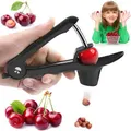 Cherry Pitter, Olive Pitter Tool, Cherry Pitter Tool Remover, Fruit Pit Core for Make Fresh Cherry Dishes and Cocktail Cherries