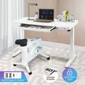Electric Motorised Standing Desk Height Adjustable Sit Stand Desk Home Office Workstation with Drawers