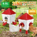 Chicken Feeder Hens Feeding 6KG 8.5L Waterer Set Automatic Food Dispense Rat Bird Proof for Poultry Rabbit With Bucket