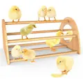 Bamboo Chicken Perch with Mirror,Strong Roosting Bar for coop and brooder,Training Perch for Large Bird,Hens,Parrots,Macaw,Easy to Assemble and Clean,Fun Toys for Chicken
