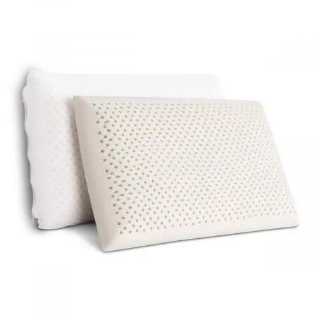 Set of 2 Latex Pillow with Removable and Washable Zippered Cover