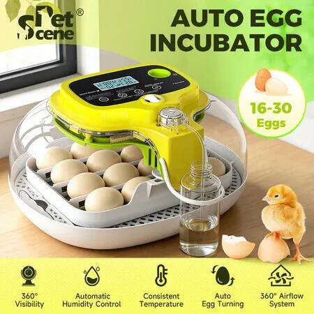 Automatic Egg Incubator 16-30 Eggs Poultry Hatcher Breeder Auto Turning Hatching Humidity Control Chicken Duck Bird Pigeon Quail Water Adding Candler