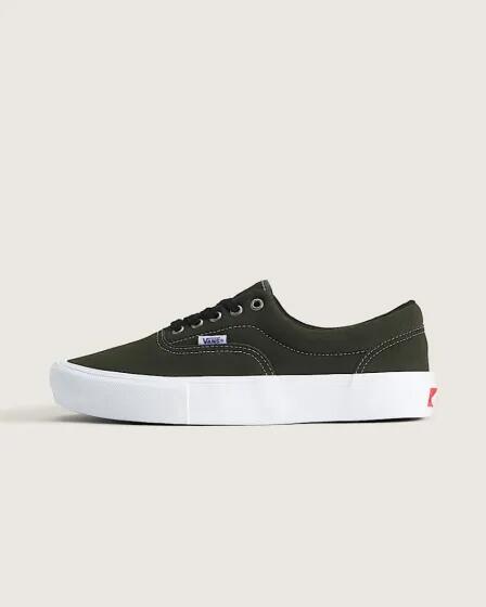 Skate Era