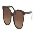 Coach Sunglasses HC8271U L1101 Polarized 5120T5