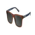 Pierre Cardin Sunglasses P.C. 6189/S SHR/R6