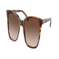 Ralph Lauren Sunglasses RL8201 500713