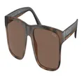 Polo Ralph Lauren Sunglasses PH4195U 607073
