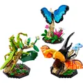 The Insect Collection
