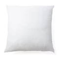 Cushion pad - modern - 60 x 60 cm