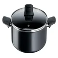 Tefal Generous Cook Non-stick Induction Stewpot 24cm/4.5L + lid