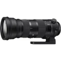 Sigma 150-600mm F5-6.3 Sports OS HSM EOS Mount Lens