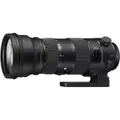 Sigma 150-600mm F5-6.3 Sports OS HSM Nikon Mount Lens