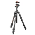 Manfrotto Befree Tripod for Sony