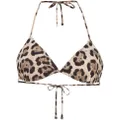Dolce & Gabbana leopard-print triangle bikini top - Brown
