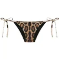 Dolce & Gabbana leopard-print bikini bottoms - Brown