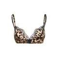 Dolce & Gabbana leopard print bra - Brown