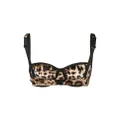 Dolce & Gabbana leopard-print balconette bra - Brown