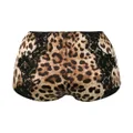 Dolce & Gabbana leopard-print high-waisted briefs - Neutrals