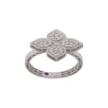 Roberto Coin 18kt white gold Princess Flower diamond and ruby ring - Silver