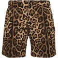 Dolce & Gabbana leopard-print bermuda shorts - Brown