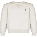 Polo Ralph Lauren logo-embroidered sweatshirt - Grey