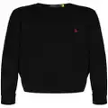 Polo Ralph Lauren logo-embroidered sweatshirt - Black