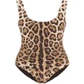 Dolce & Gabbana leopard-print scoop-back swimsuit - Brown