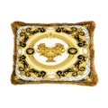 Versace La Coupe Des Dieux cushion (45cm x 45cm) - Gold