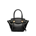 Proenza Schouler small Pipe tote bag - Black