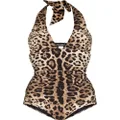 Dolce & Gabbana leopard-print halterneck swimsuit - Brown
