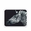 Dolce & Gabbana zebra-print paper coasters (set of 12) - Black