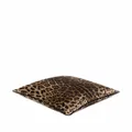 Dolce & Gabbana medium Leopardo-print velvet cushion - Brown