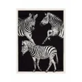 Dolce & Gabbana zebra-print silk quilt blanket - Black
