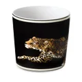Dolce & Gabbana tiger-print porcelain glass - Black