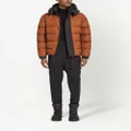 Zegna padded hooded down jacket - Brown